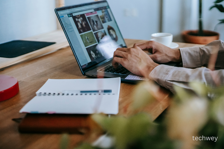 Must-Have Software for Freelancers