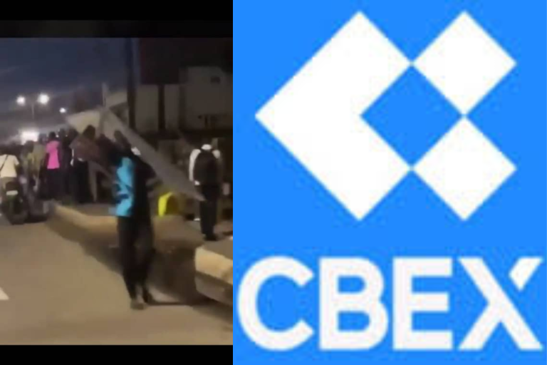 CBEX Ponzi scheme