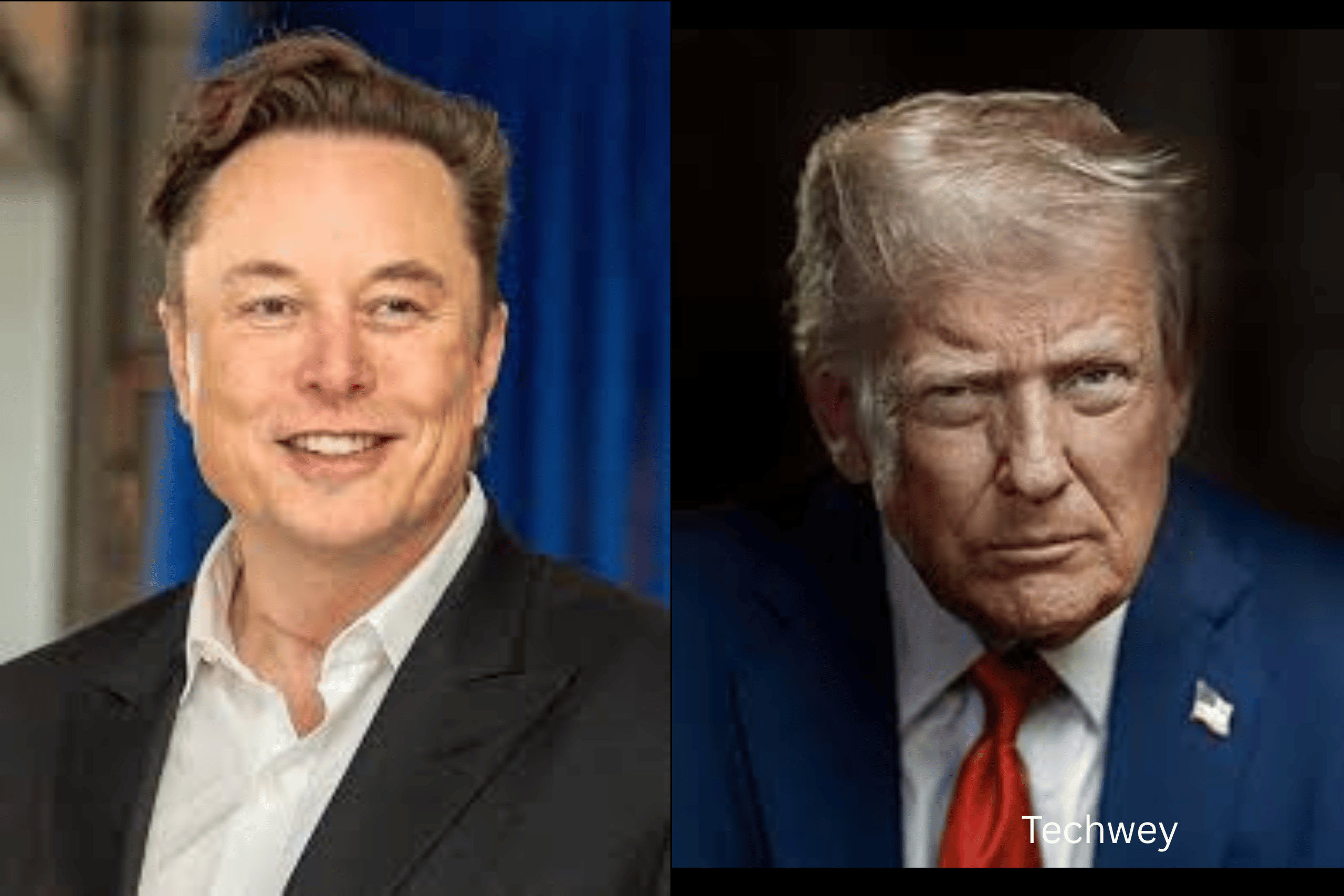 Trump musk fallout