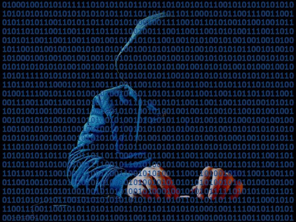 Cliche Hacker and Binary Code