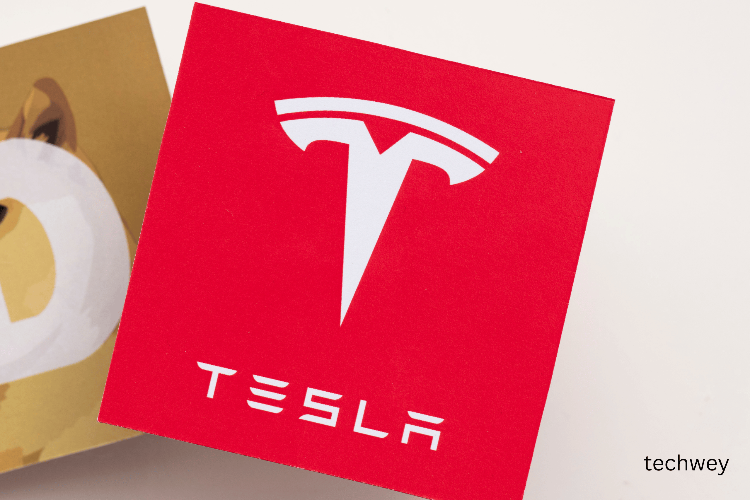 Elon Musk Terafab chip factory Austin