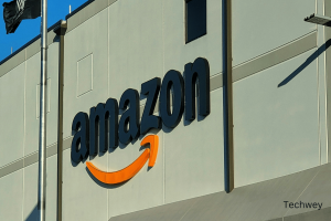 Amazon's Mechanical Turk