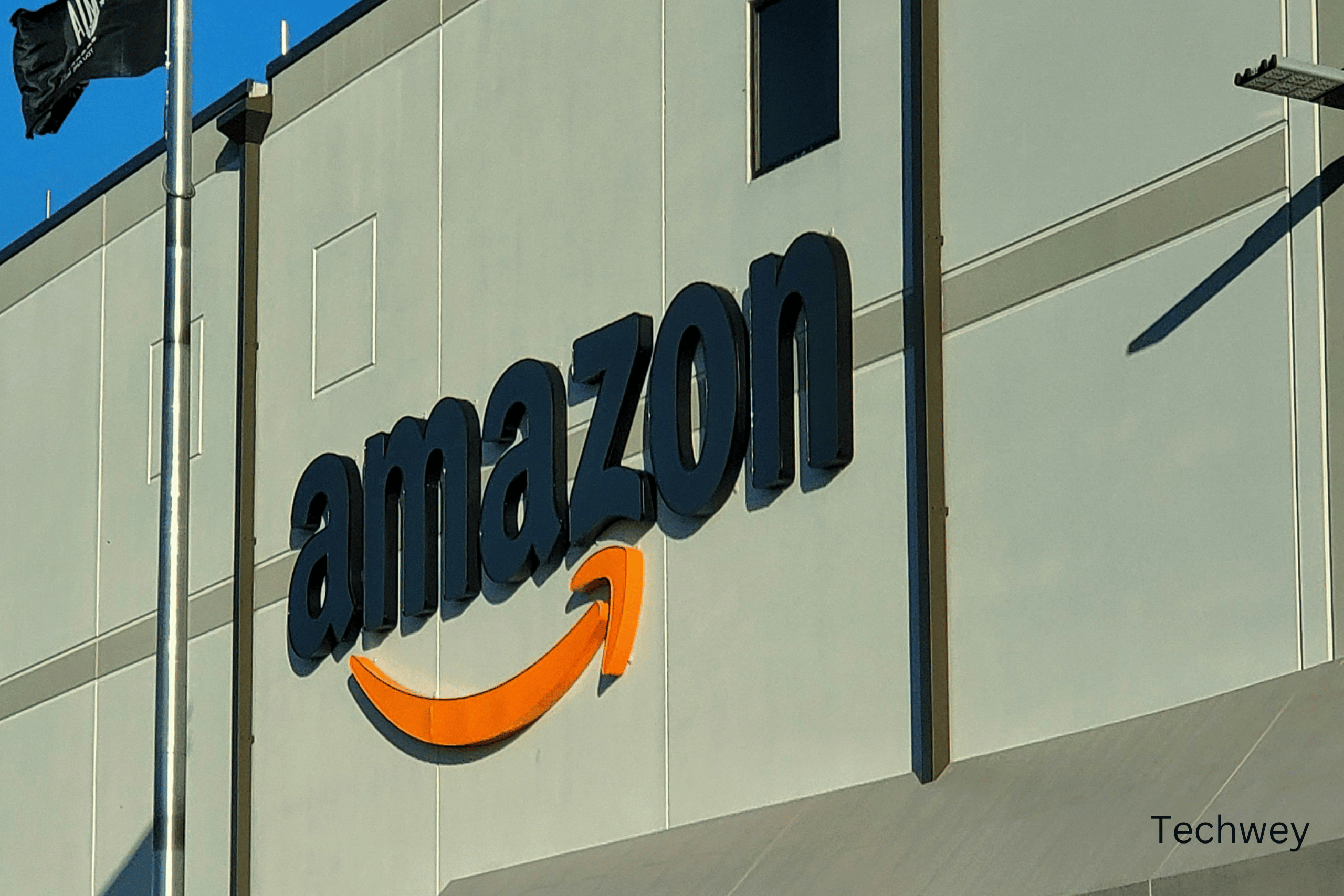 Amazon's Mechanical Turk